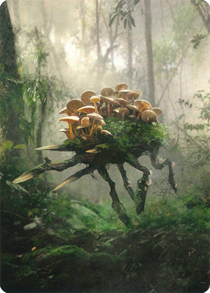 Saproling // Saproling Token