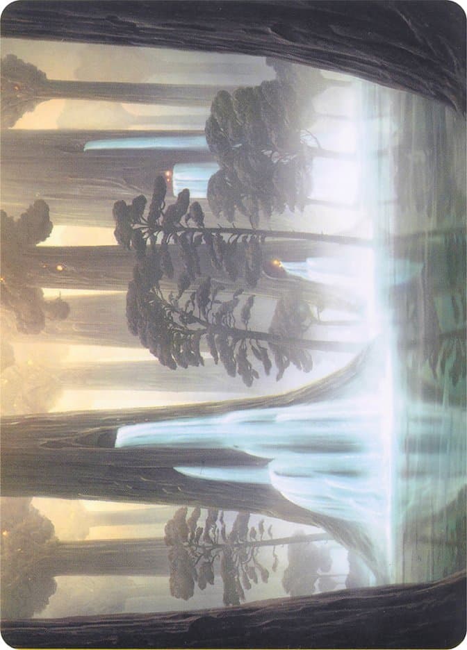 Waterlogged Grove // Waterlogged Grove Token