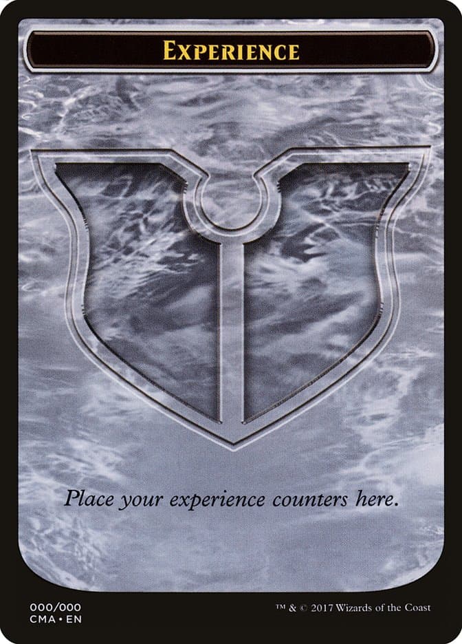 Experience Token