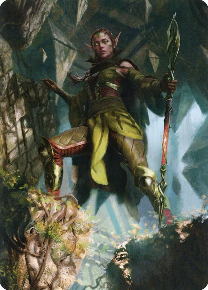 Nissa of Shadowed Boughs // Nissa of Shadowed Boughs Token