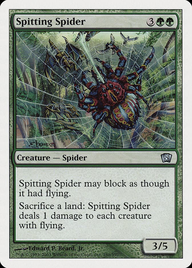 Spitting Spider