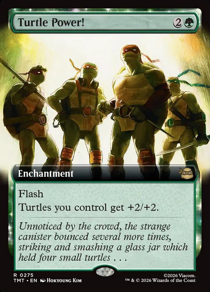 Turtle Power!