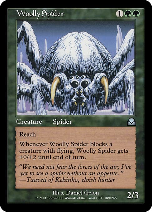 Woolly Spider