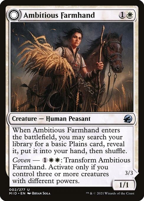 Ambitious Farmhand // Seasoned Cathar