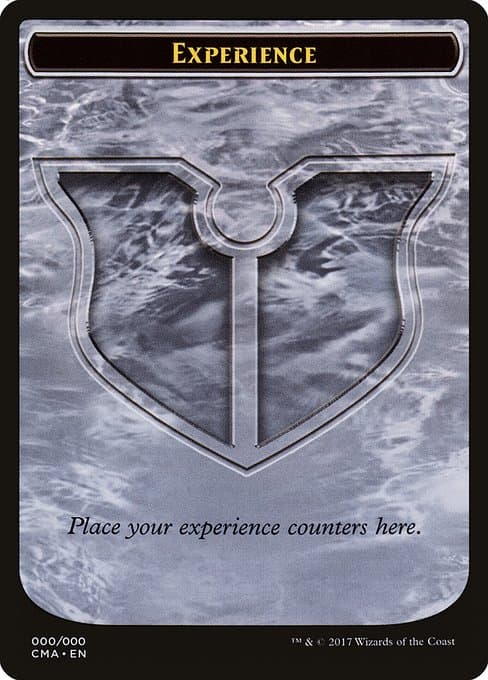 Experience Token