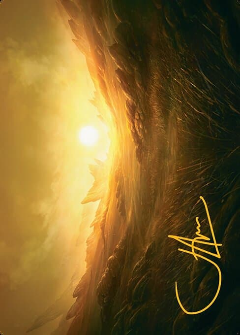 Plains // Plains Token