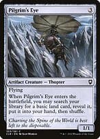 Pilgrim's Eye
