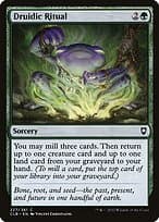 Druidic Ritual