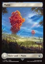 Plains