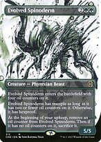Evolved Spinoderm