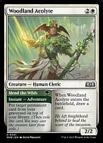 Woodland Acolyte // Mend the Wilds