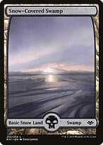 Snow-Covered Swamp