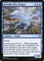 Juvenile Mist Dragon