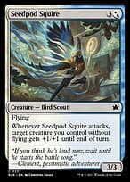 Seedpod Squire